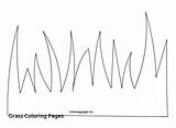 Grass Coloring Pages Plants Ocean Drawing Sea Outline Animal Food Tall  sketch template