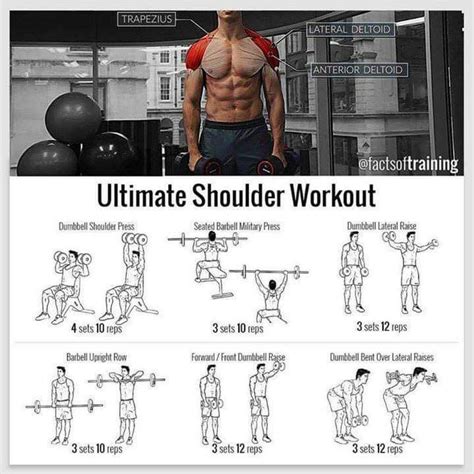 Pin by Toffeey on shoulder workout plan | Shoulder workout, Shoulder workout bodybuilding ...