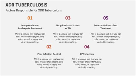 XDR Tuberculosis PowerPoint and Google Slides Template - PPT Slides