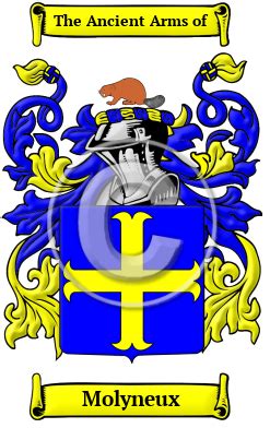 Molyneux Name Meaning, Family History, Family Crest & Coats of Arms