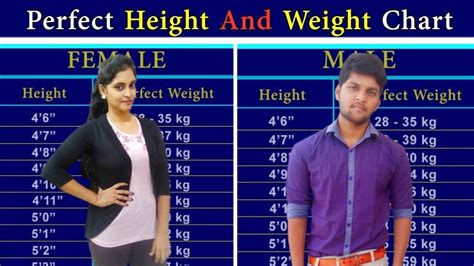 Perfect Height & Weight Chart for MALE & FEMALE - YouTube