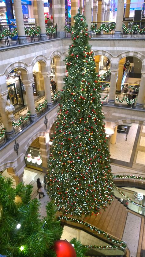 Christmas tree in Magna Plaza Amsterdam | Christmas, Christmas tree ...