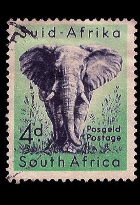 SOUTH AFRICA - CIRCA 1954 A stamp Printed in South Africa shows African Elephant blue on green ...