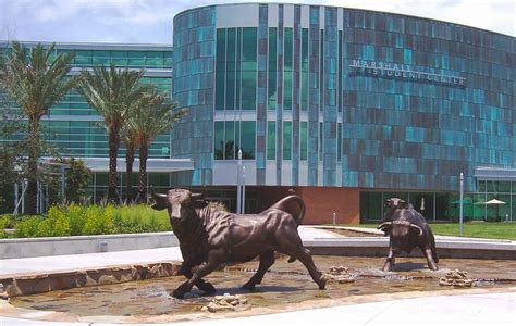 USF Tampa joins the big leagues – The Crow's Nest