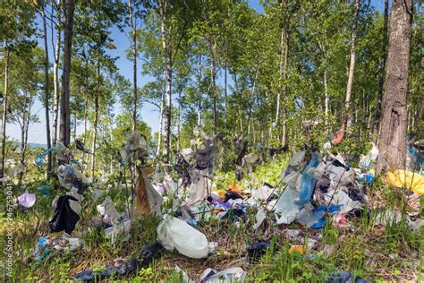 Total pollution of the environment with plastic waste. Forest with plastic non-degradable ...