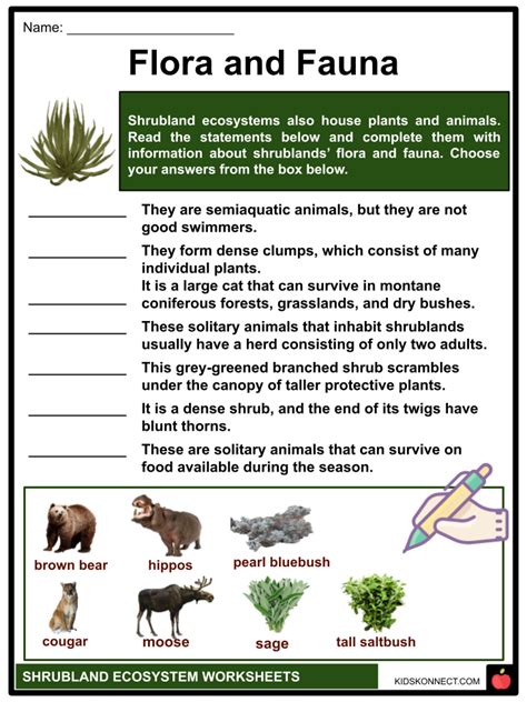 Shrubland Ecosystem Worksheets | Features, Examples, Plants