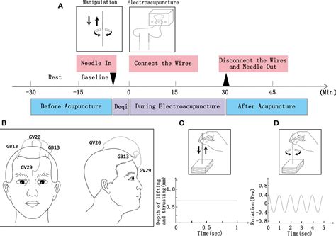 Frontiers | Effect of Electroacupuncture and Counseling on Sub ...