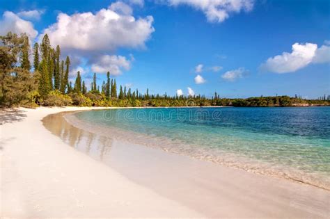 Tropical Beach, Isle of Pines Stock Image - Image of seaside, landscape: 66398935