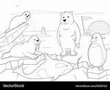 Coloring Arctic Animals sketch template