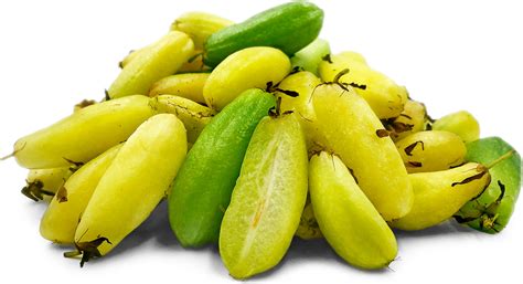 Bilimbi Fruit Information and Facts