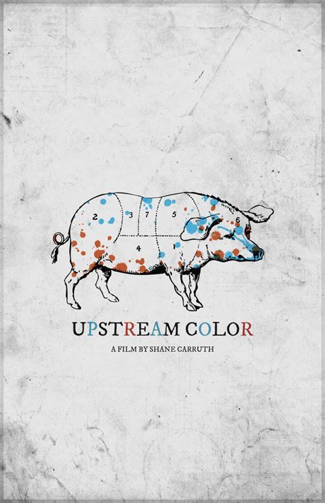 Upstream Color Reviews - Metacritic