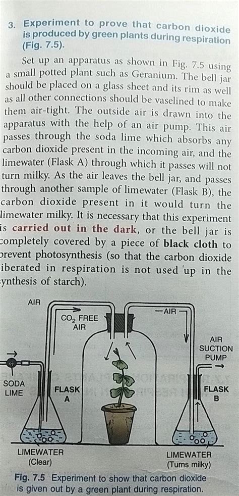 3. Experiment to prove that carbon dioxide is produced by green plants du..