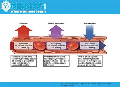 Hydrostatic vs Oncotic Pressure | Osmosis, albumin, fluid management ...