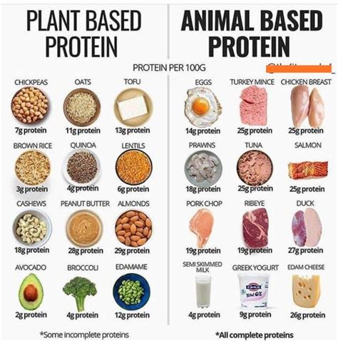 PROTEIN per 100G | Diet and nutrition, Health food, Protein foods list