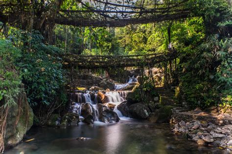 Double Decker Root Bridge, Cherapunjee Meghalaya | The reDiscovery Project