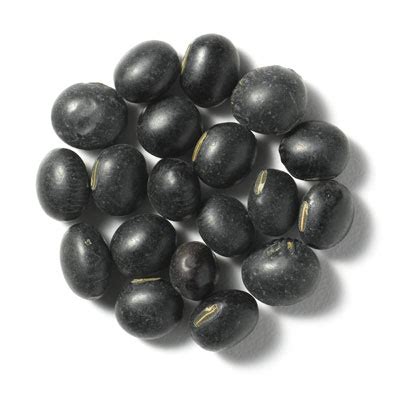 What Are Black Soybeans? – Porrazza Nutrition LLC