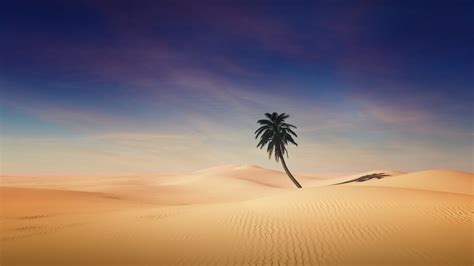 Desert Landscape Scenery 4K #2690g Wallpaper PC Desktop