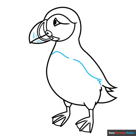 How to Draw a Puffin - Really Easy Drawing Tutorial