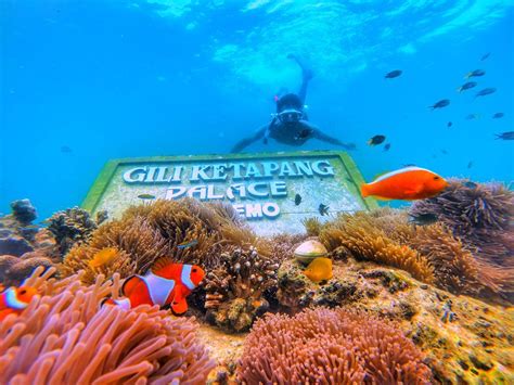 AllFilesForU: GILI KETAPANG SNORKELING PROBOLINGGO