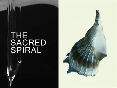 The Sacred Spiral :: Behance