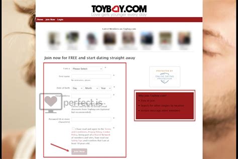 toyboy.com Review 2024 | Perfect or Scam?