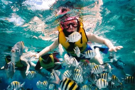 6 Best Places For Snorkeling in Andaman 2019 - Thomas Cook India Travel ...