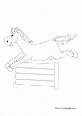 Jumping Horse Coloring Pages  2 Free Coloring Sheets 2021 Horse sketch template
