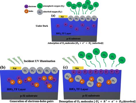 Diagrammatic representation of the Chemisorption process (a) Adsorption ...