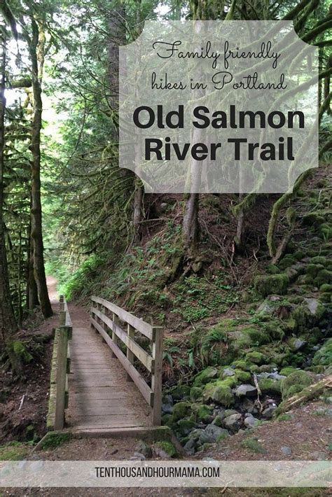 Old Salmon River Trail: Family friendly hike near Portland | Hikes near portland, River trail ...