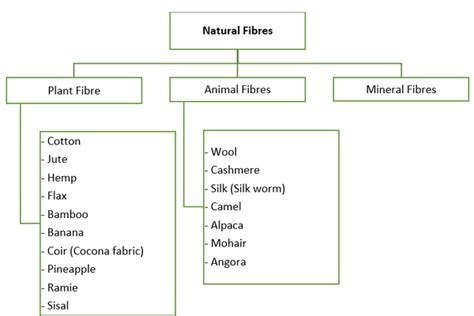 Natural Fibres: Types, Classification, Properties and Uses