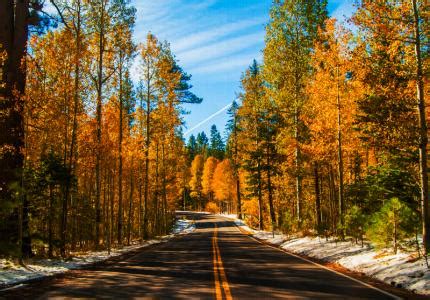 TOP 10 Places to Enjoy Fall Foliage in Lake Tahoe — LakeTahoe.com