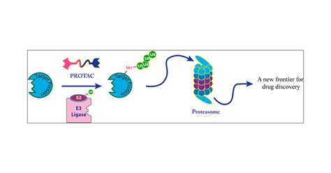 Protac-Induced Protein Degradation in Drug Discovery: Breaking the Rules or Just Making New Ones ...