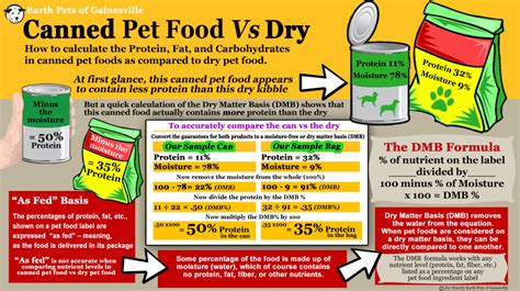 10+ Best Dog Food & Nutrition Infographics Ever Made