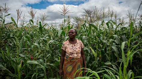 African Farming & the World