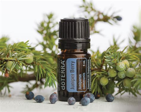 dōTERRA Juniper Berry Essential Oil - 5ml – Do Essential Oils Australia ...