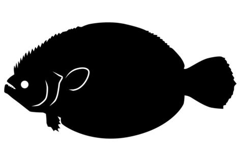 Flounder Silhouette Graphic by iDrawSilhouettes · Creative Fabrica