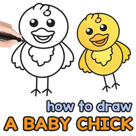 How to Draw a Baby Chick – Step by Step Drawing Guide - Phần mềm Portable