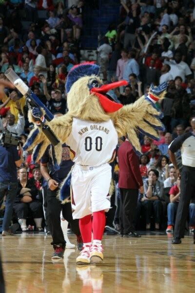 Pierre the Pelican Photo Gallery | NBA.com