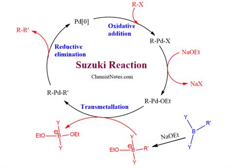 Suzuki reaction: easy mechanism,application - Chemistry Notes