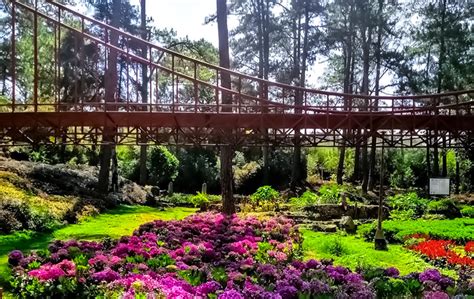 Botanical Garden Baguio City History | Fasci Garden