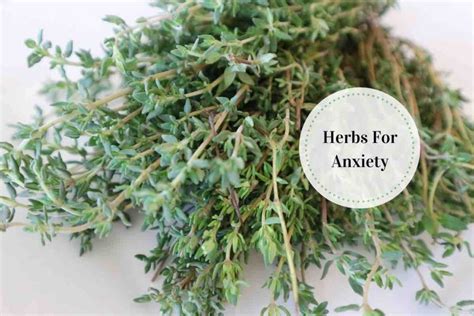 anti anxiety herbs - Ayurvedum