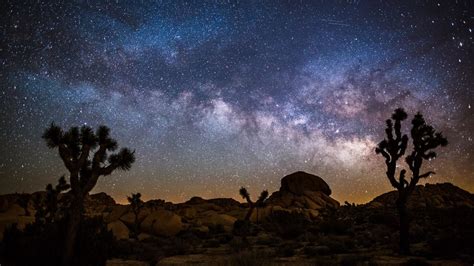 Desert landscape at night with Milky Way, Joshua tree national park, California, USA | Windows ...