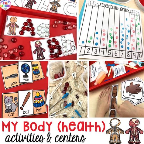 Body Parts Theme Activities For Preschoolers - Theme Image