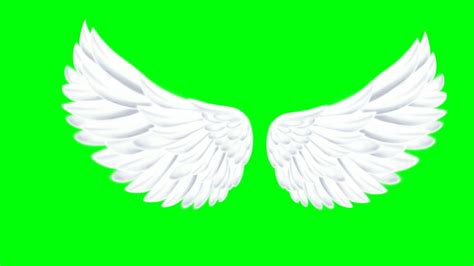 animated angel wings - green screen effect| green screen wing vfx effects 2020.Tiktok vfx ...