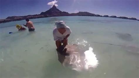 Bora Bora stingrays feeding - YouTube