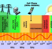 Cyberphysics: Microwave Radiation