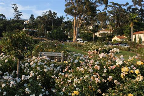 Mission Park and Rose Garden - Santa Barbara Parks