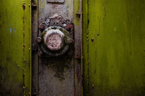 Free Images : color, green, yellow, tree, wall, light, darkness, wood, texture, shape, window ...