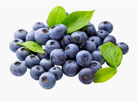 Blueberries clipart blue food, Blueberries blue food Transparent FREE ...