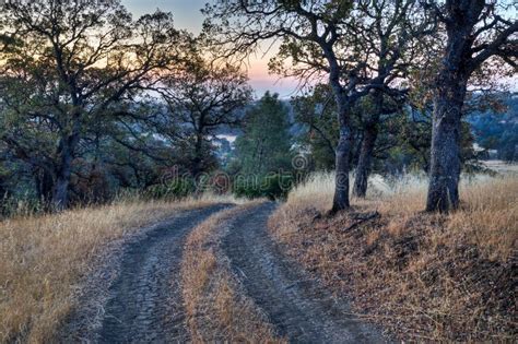 Sutter Buttes Sunrise stock image. Image of backlit, central - 26712311